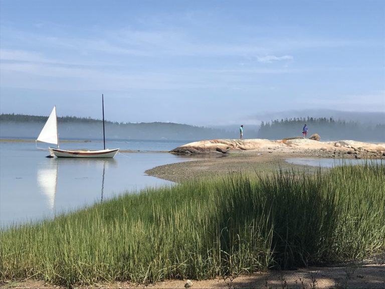 img splash show howdy hog nandc 768x576