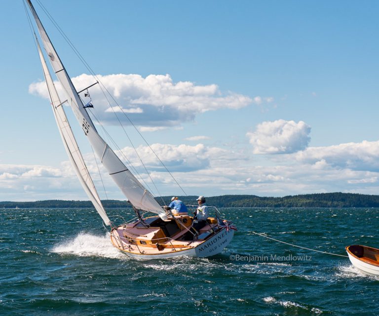 noah x 2020x 768x640