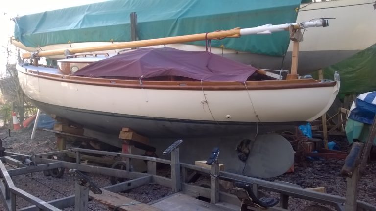 polly and puck 141 768x431