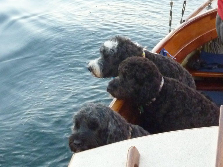 sailing trio 768x576