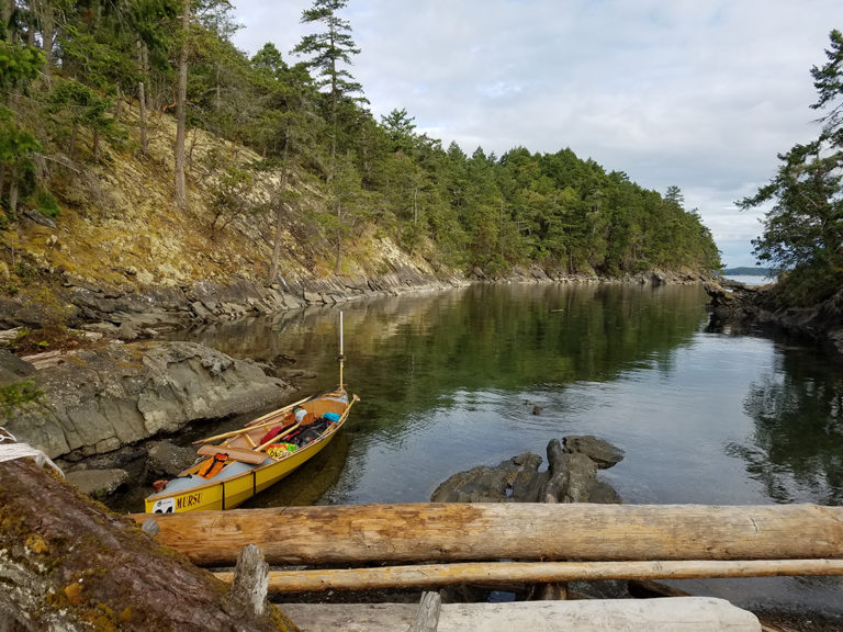 savo650er2ak 768x576