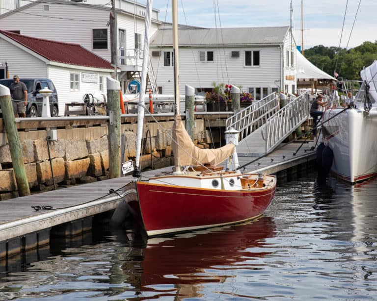 sunny day 48364299357 o 768x614