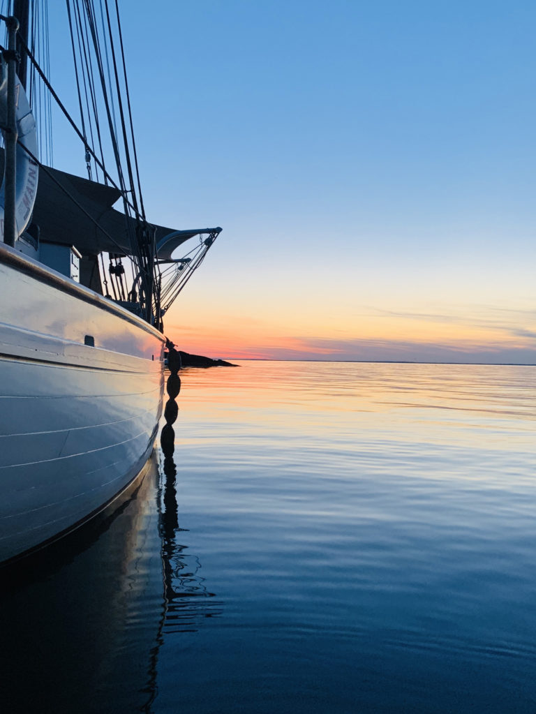 sunset swim call 768x1023