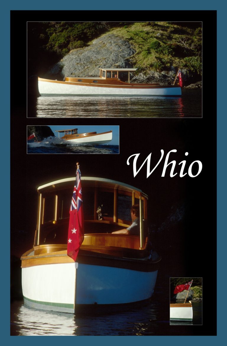 whio poster 768x1170