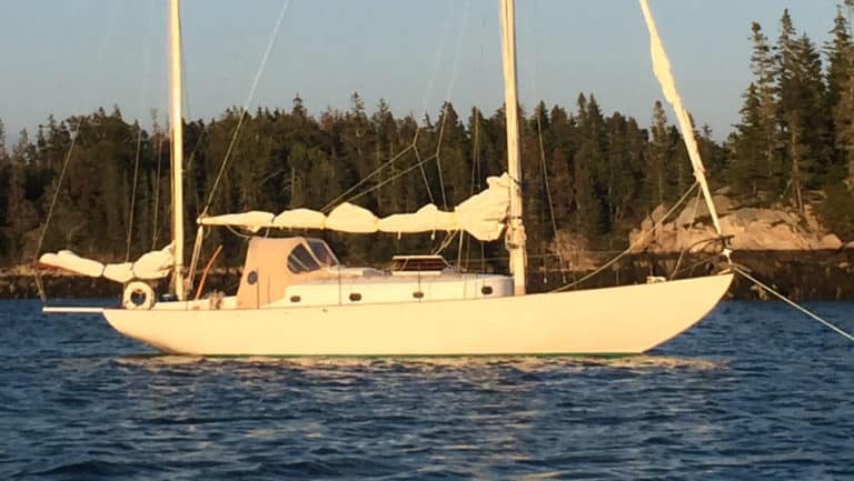 2F5C661A 5E41 4CBF BFC6 D8ED57634203 Cr 768x433