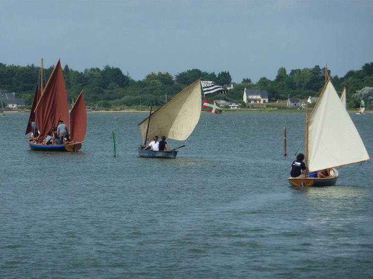 43087545514 fcd187de7c c 768x576