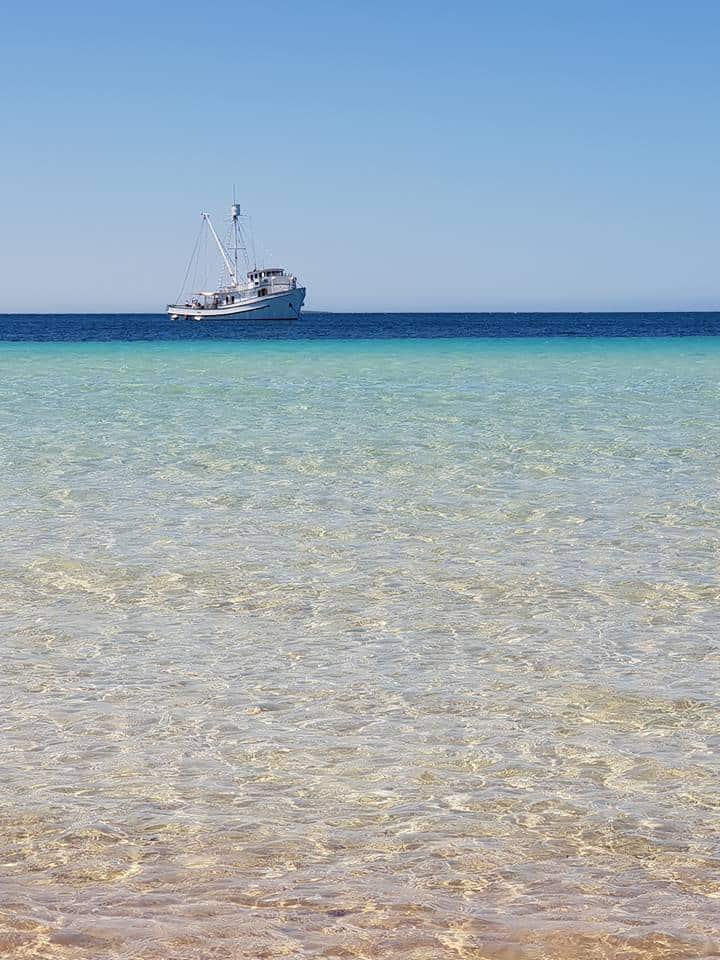 49728008 10216240209190564 5035709937490067456 n