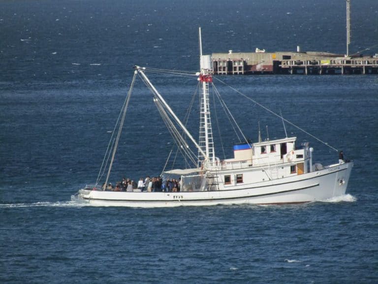 90113548 1877683802370680 1160562852721852416 o 768x576