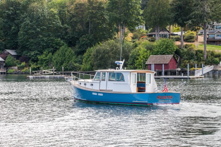 A8E7159D 0B1E 4E88 9ACA B6F967E795BA 1 105 c 768x512