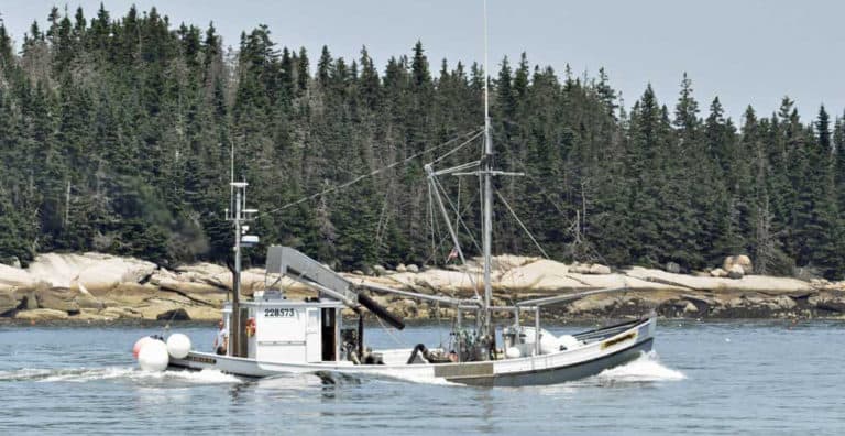 IMG 9548 copy 768x396