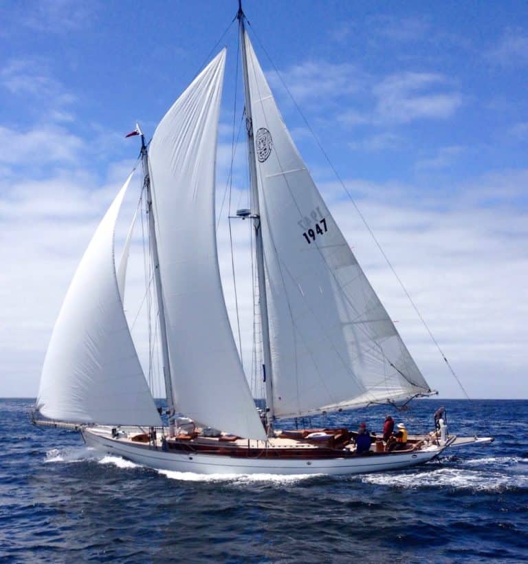 MAYAN Mont n Back race 1 768x820