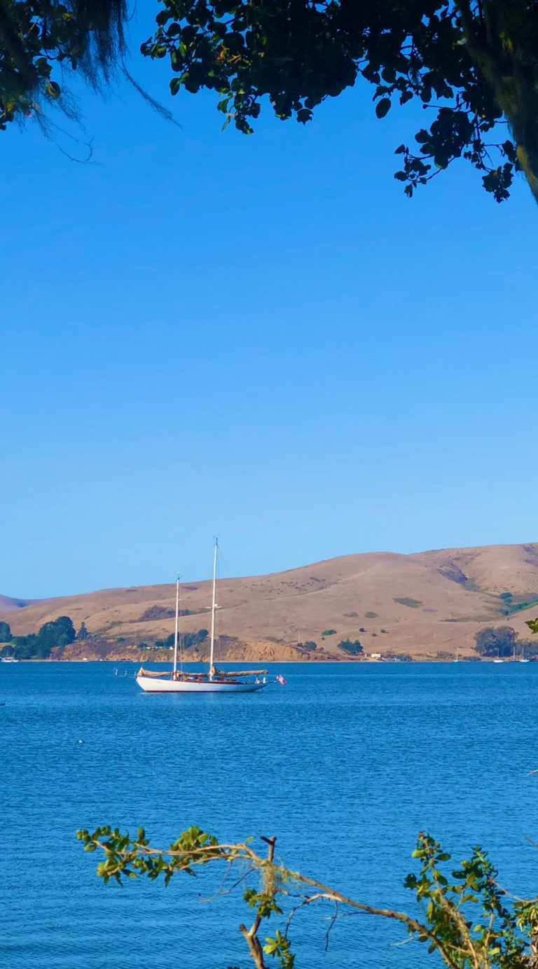 MAYAN Tomales Bay CCA 2019 768x1384