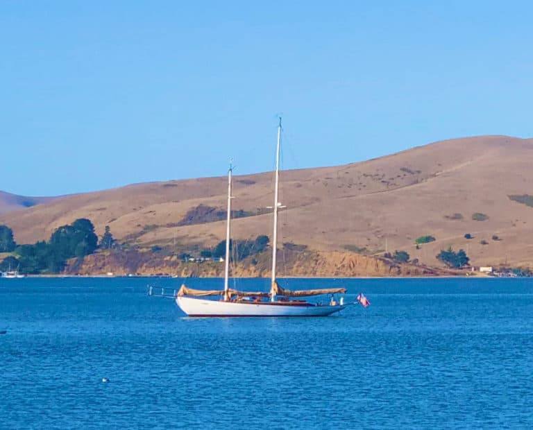 MAYAN Tomales Bay CCA 2019 768x620