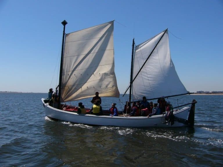 Pics 4 18 05 039 768x576