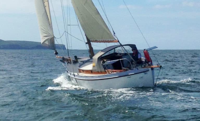 image 9 crop 1 768x465