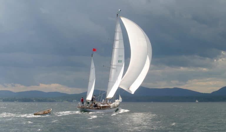 wd cascam 04 558 2048x1377 2 768x448