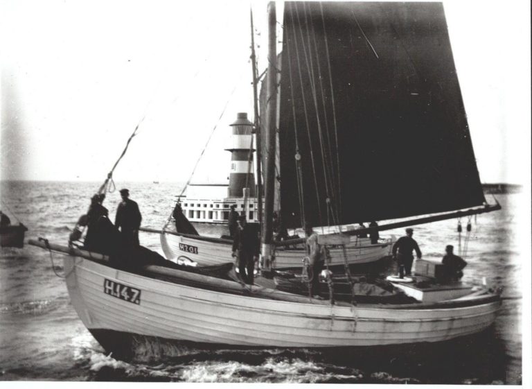 120776103 101013811782527 7633989526785880173 n 768x561