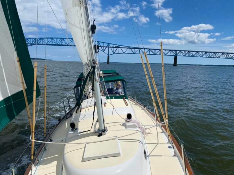 183475083 420822445654626 7541452691126023175 n 768x576