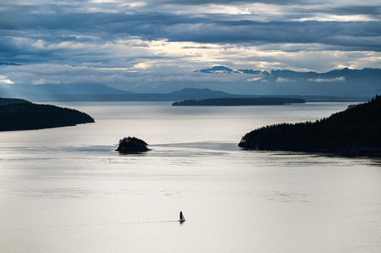 20210610 Day5 NickReid 1 23 768x511