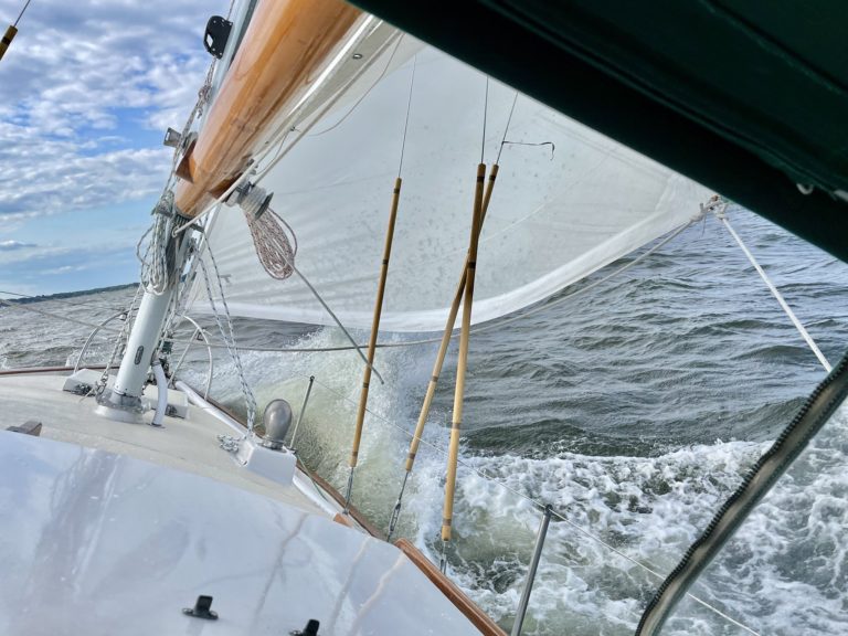 206976373 461000931636777 8875423588349727596 n 768x576