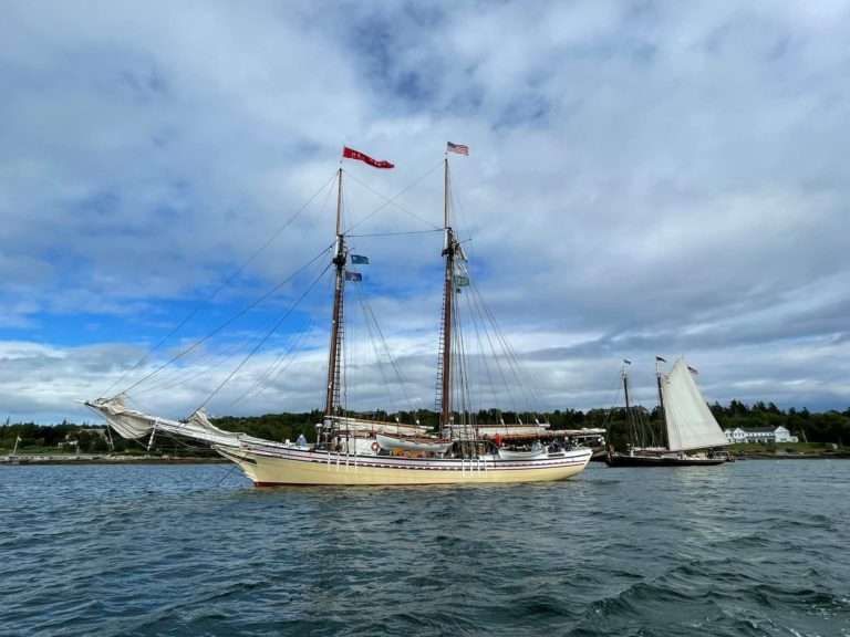 241229986 10160869225422439 7779046690190637804 n 768x576