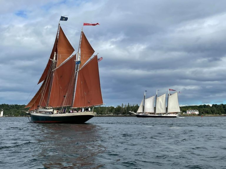 241463843 10160869225437439 9102691652700652192 n 768x576