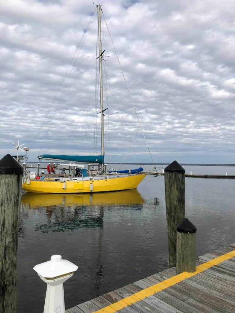 4A006B79 29EE 4C8E A80C 03CB3AD159DC 768x1024