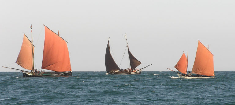 Boats in the Bay 2009 768x345