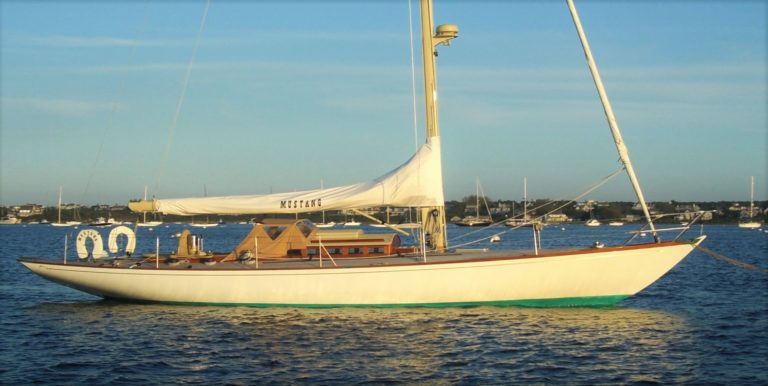 CIMG0725 Zoom 768x386