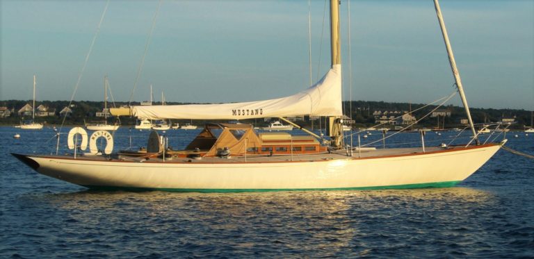 CIMG0726 ZOOM 768x373