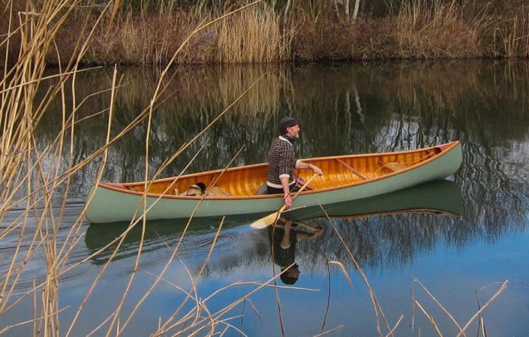 Gent Pal crop 768x490