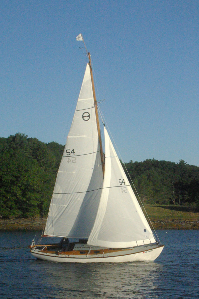 IMGP4436 cropped 768x1151