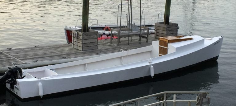 IMG 1022.cropped 768x344