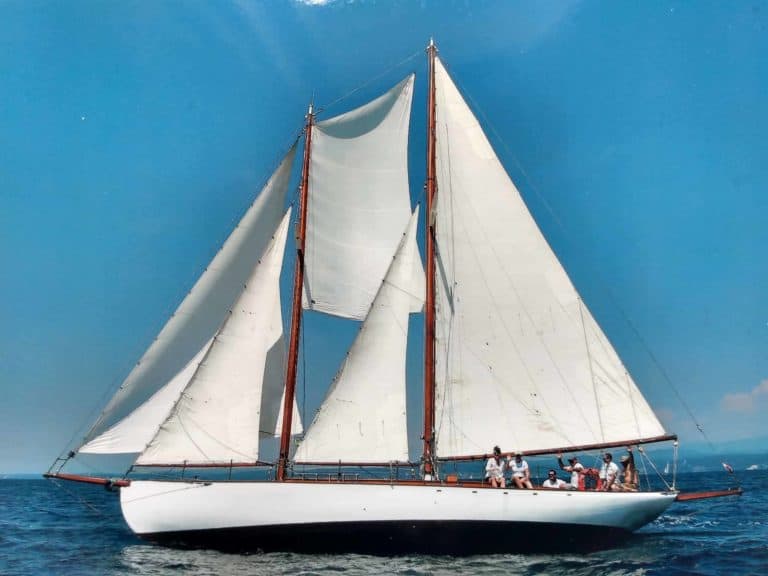 IMG 20210607 154053855 HDR 768x576