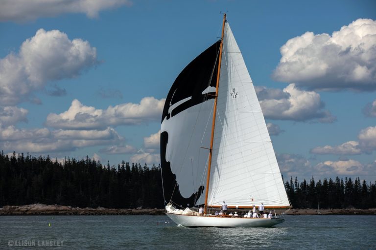Marilee Marconi Downwind 768x512