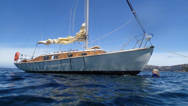 Mermerus nrcrop 768x435