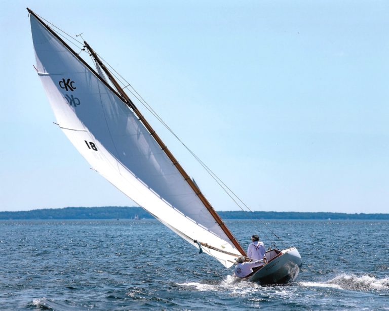 Photo 2021 12 08 095956 4 768x615