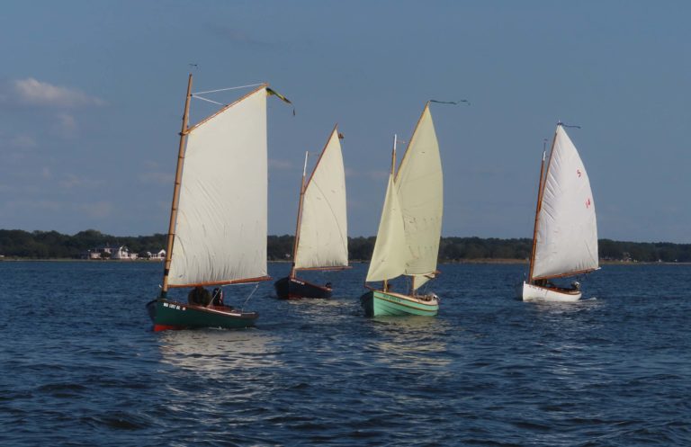 Sailboats 4071 768x497