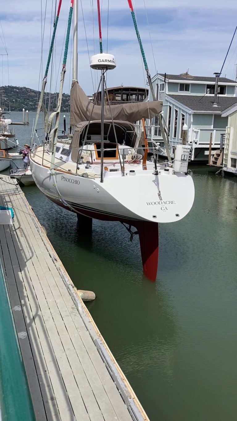 haulout2021 768x1365