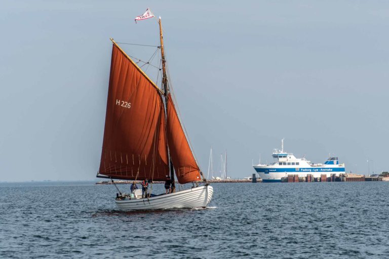 svalen lyoe 03 768x512