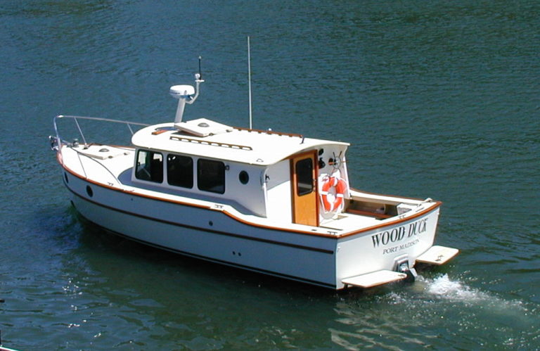 001Wood Duck 768x499