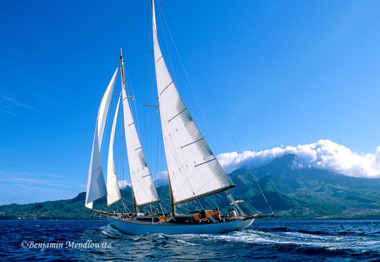 0402173 WCBS 768x529