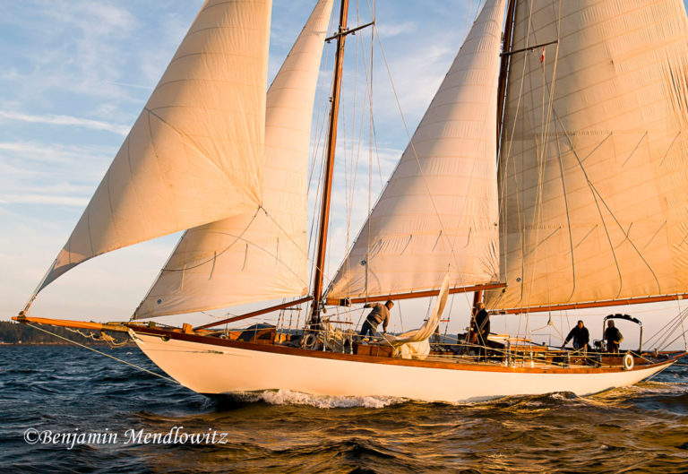 0828143 WCBS 768x529