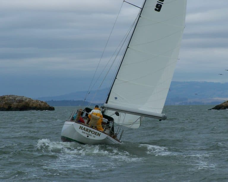 100 2123 8x10 768x614