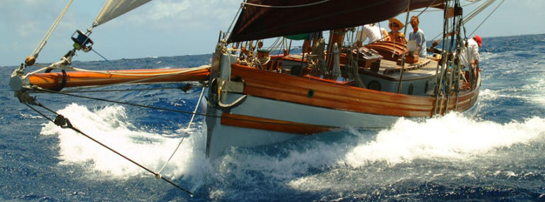 10247361 10152164958938207 8320513164156899244 n 768x285