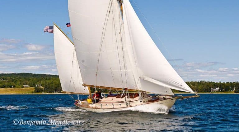 1038037 WCBS 768x426