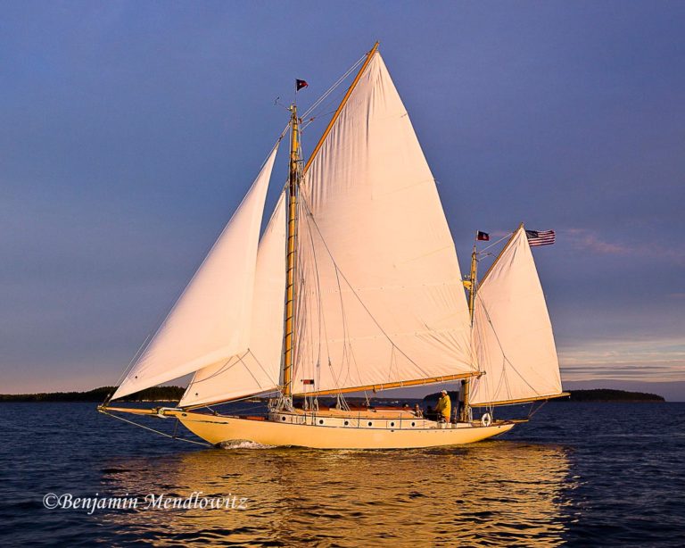 1038140 WCBS 768x614