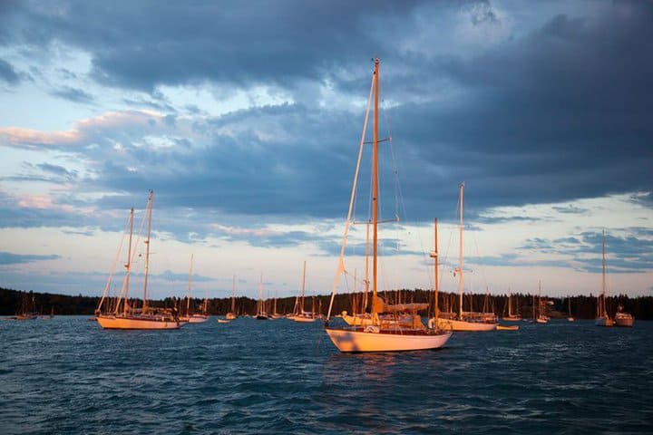 10447654 10152132328250896 497319854837961931 n