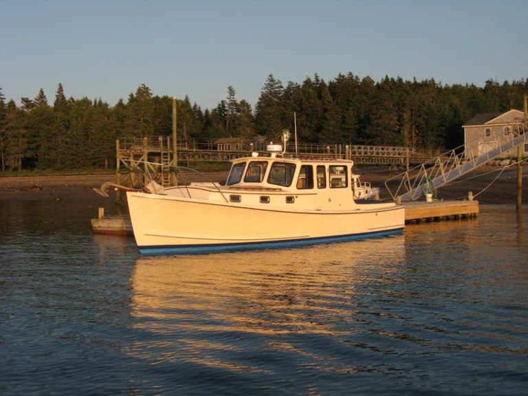 10498095 561802023925964 1132269683747355455 o1 768x576