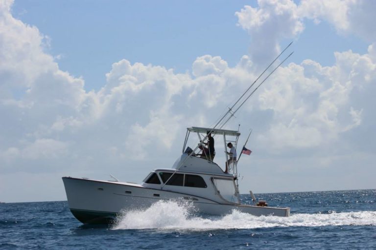 11052382 10205251890271376 2680612925620158246 n 10205251890271376 768x512